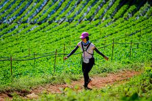 BIB: 
                            <button type="button" onclick="openModal(19163708)" class="btn btn-primary btn-sm float-right btn-popup" data-toggle="modal" data-target=".modal-high-quality">
                        <i class="fas fa-shopping-cart"></i> Add to Cart
                    </button>
                                            <button type="button" onclick="isThisMe(19163708, true)" class="btn btn-success btn-sm float-right btn-popup btn-isme hidden" data-toggle="tooltip" data-placement="bottom" title="นี่คือรูปของคุณใช่ไหม คลิกที่นี่เพื่อเอาเข้าอัลบั้ม">
                        <i class="fas fa-plus"></i> Add to album
                    </button>
                    <button type="button" onclick="isThisMe(19163708, false)" class="btn btn-warning btn-sm float-right btn-popup btn-isnotme hidden">
                        <i class="fas fa-ban"></i> Remove from album
                    </button>